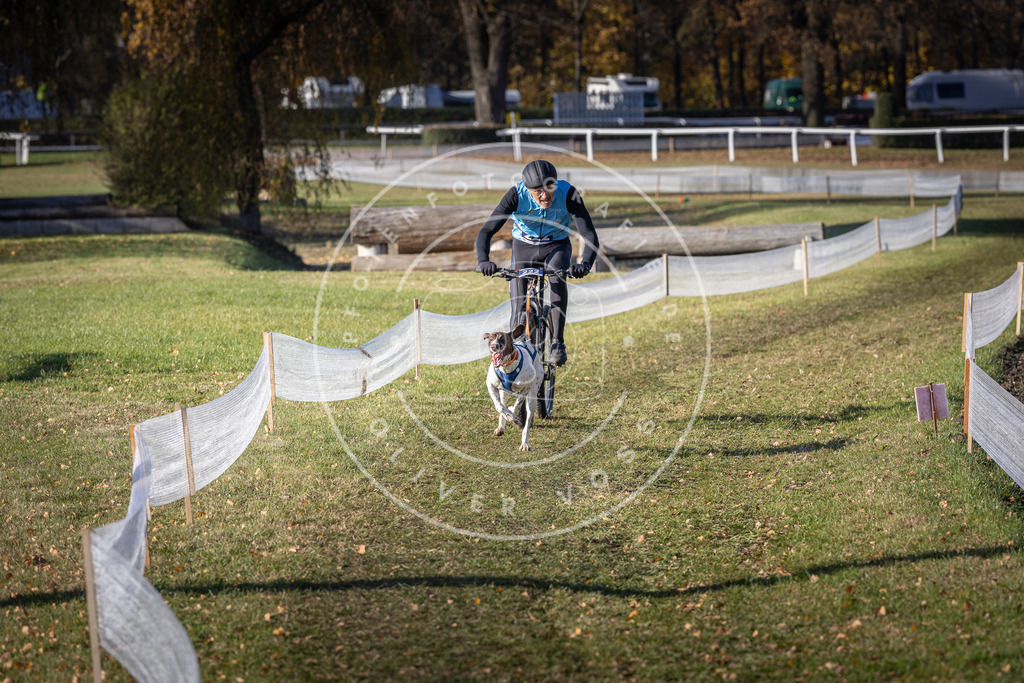 CaniXpix_DV3A3486 | Hundefotografie, Tierfotograf, Pfotenfotografie, Fotoshooting Hund, Hunde Portrait, Hundesport, Hundeportraits, Heideshooting, Hunde, Sportfotograf, Hundefotograf, Turnierhundsport, THS,  - Realisiert mit Pictrs.com