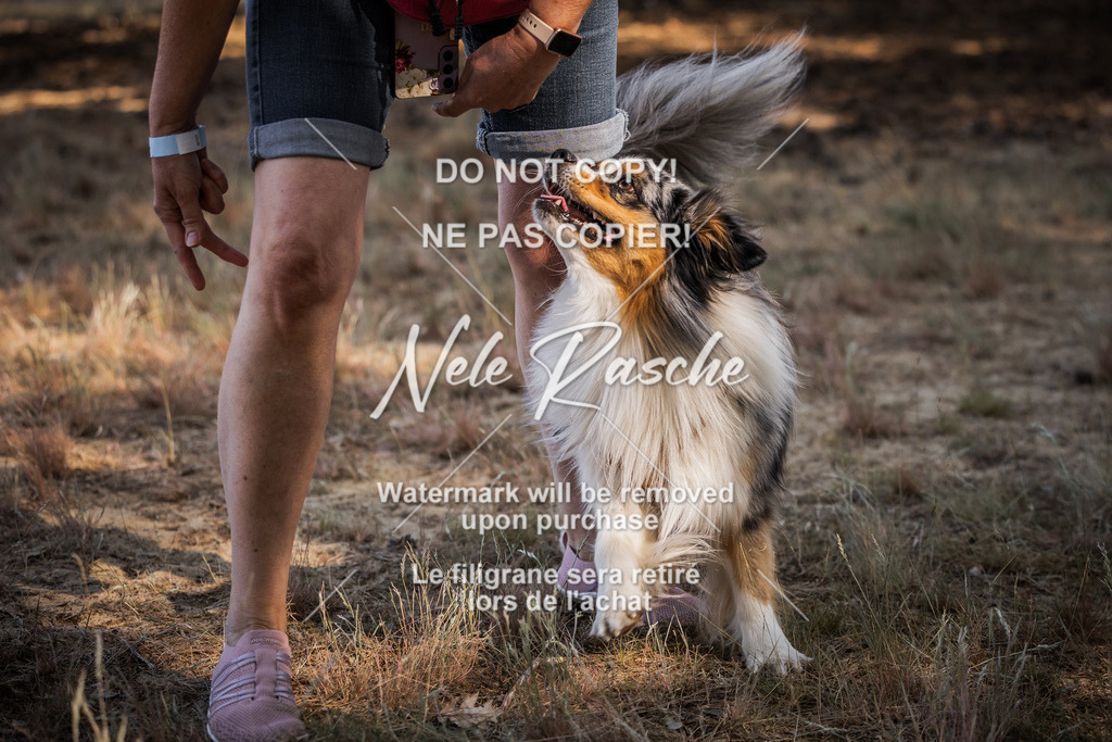 nelerasche_soDD1_220 | nelerasche