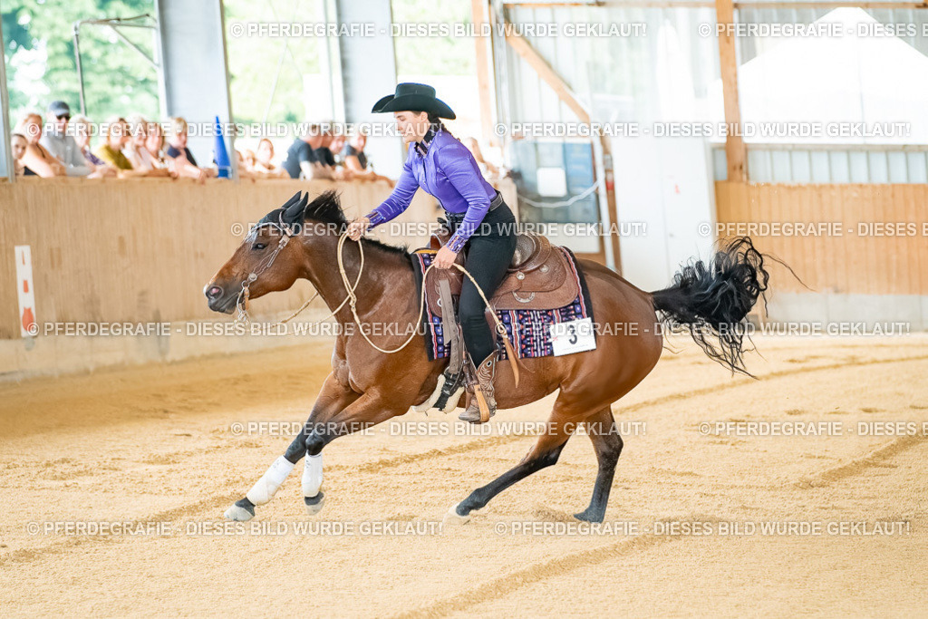 DSC07763 | Pferdegrafie