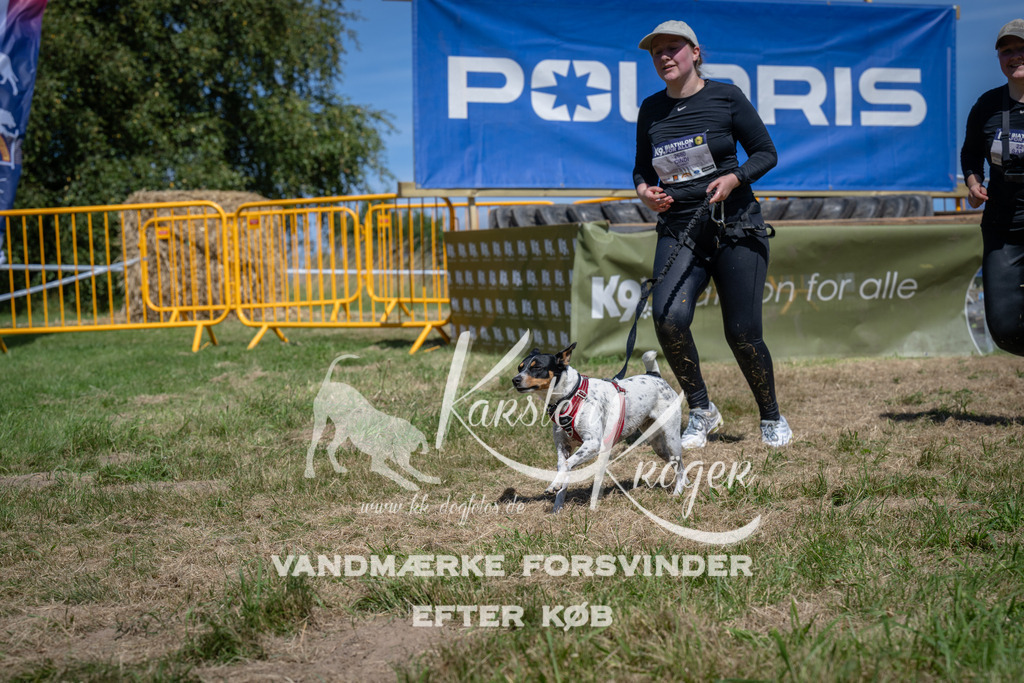 1339_ZZ99085 | kk-dogfotos