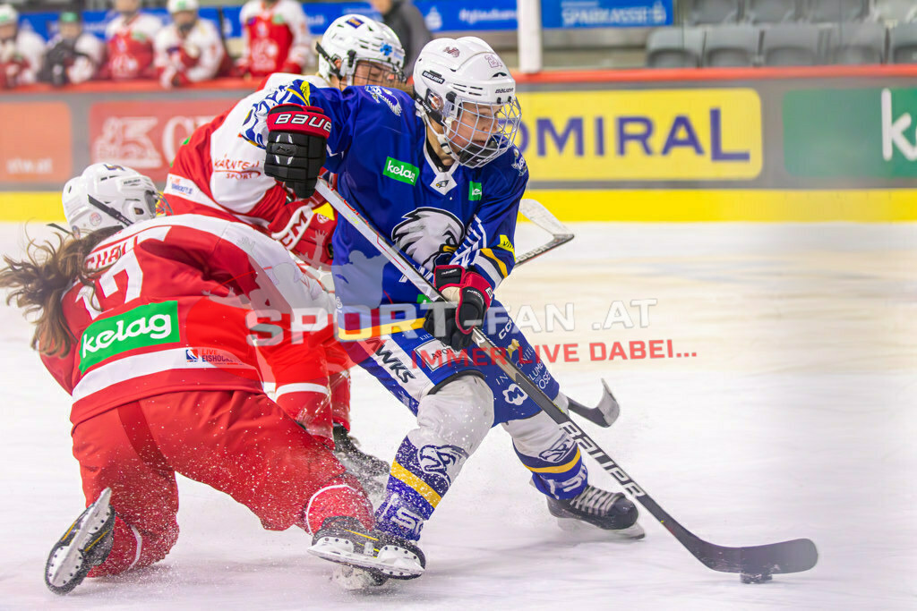 Eishockey DEBL 2023/24 | Eishockey DEBL 2023/24, KAC Frauen - Villach Lady Hawks am 27.09.2023 in Klagenfurt (Heidi Horten Arena), Austria, (Photo by Ernst Krawagner sport-fan.at) - Realisiert mit Pictrs.com