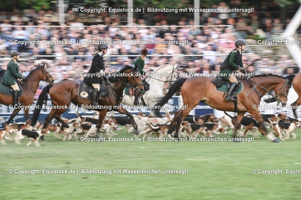 20230526_Pferdenacht_0649 | equistock