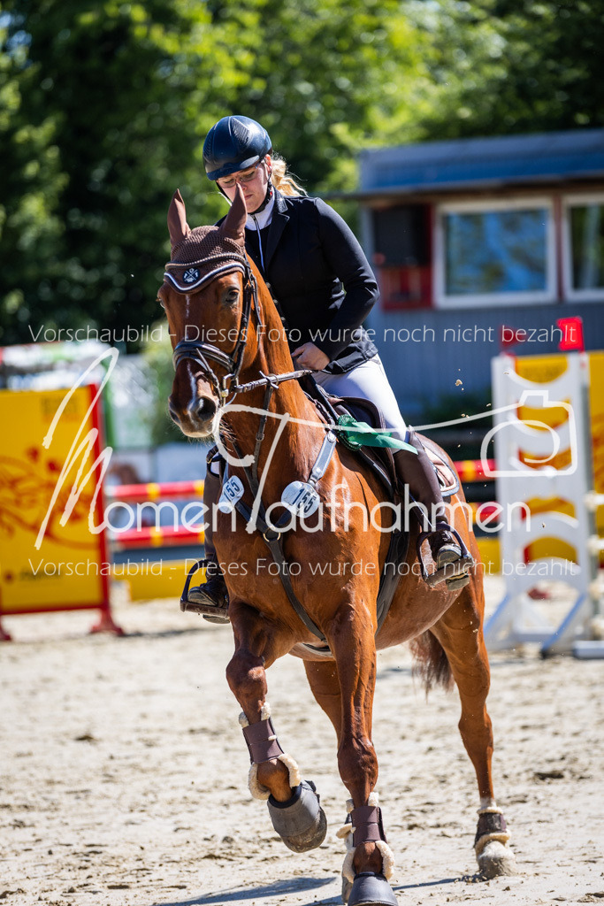 Donop24-A2Spr-199 | MomenTaufnahmen Pferdesportfotos