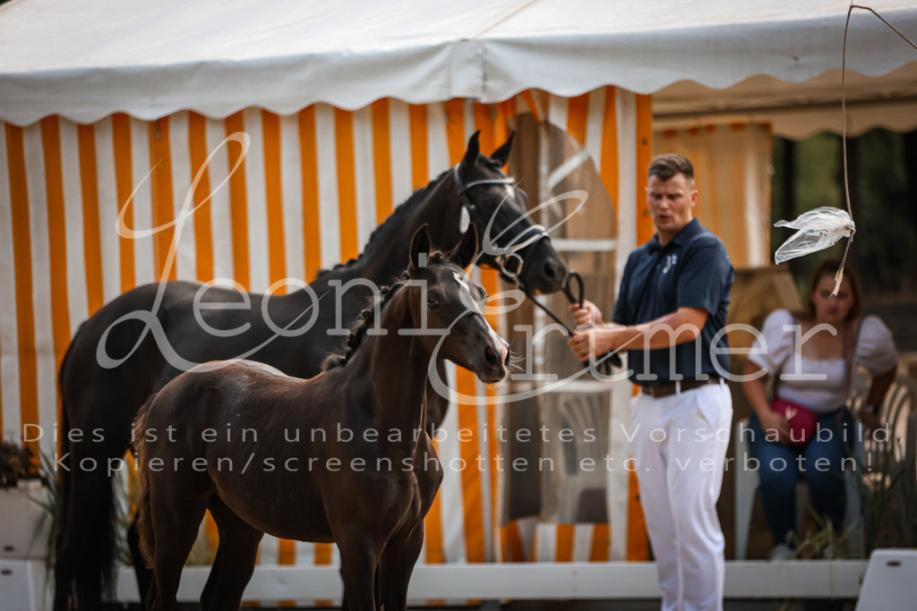 10.DoRP00069 | Leoni Ertmer Photography - Realisiert mit Pictrs.com