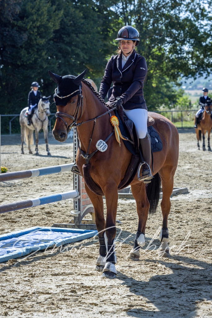 20260704-_3LI7275 | Tierfotografie Pferde, Hunde, Katzen, Haustiere.
Turnierfotografie Reitturniere, Reiten, Springreiten, Dressur in Hanau, dem Main-Kinzig-Kreis und dem Rhein-Main- Gebiet um Frankfurt