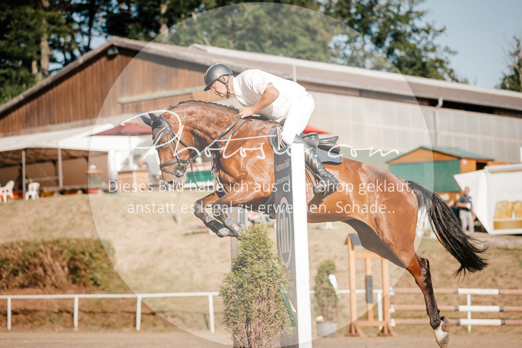 3I6A6338 | Stimmungsvolle Portraits und Reitsportfotografie im Ruhrgebiet und im Münsterland.

Pferdefotografie, Hundefotografie, Tierfotografie, Reportagen, Portraits von Tier und Mensch, Turnierfotografie in Bochum, Recklinghausen, Marl, Haltern am See, Dülmen.. - Realisiert mit Pictrs.com