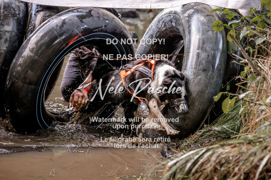 nelerasche_Hunsrück2026_Sa1400-1500_187 | nelerasche