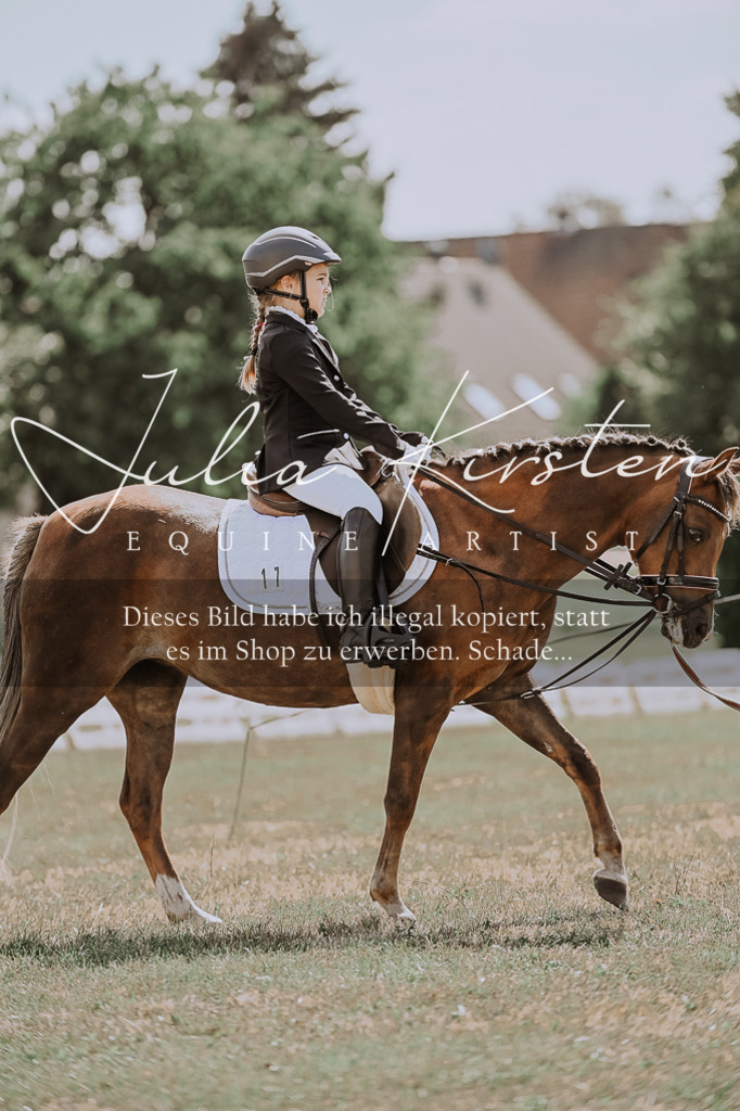 DSC_7638 | Pferde- und Turnierfotografie in Westsachsen. Pferdeportraits, Auftragszeichnungen und intuitive Kunst.