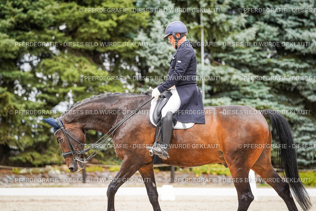 DSC05104 | Pferdegrafie