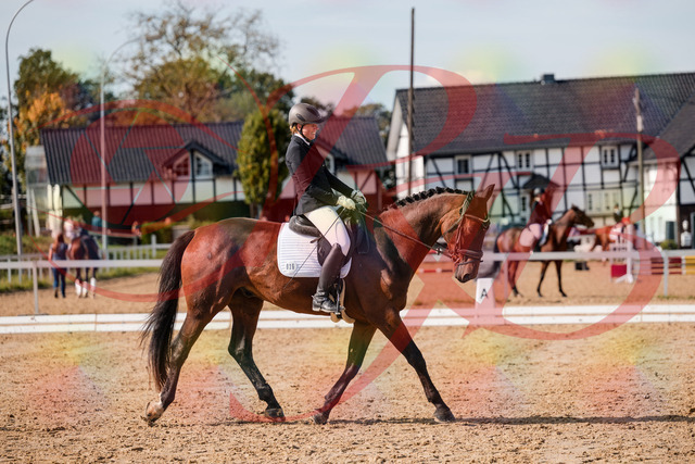 2026_10_03_Siefer-Hof_130438_Z63_67468946 | Professionelle Reitsport-, Turnier- und Eventfotografie von Robert Broda. Galerien mit ausgewählten und bearbeiteten Bildern direkt online ansehen und bestellen.