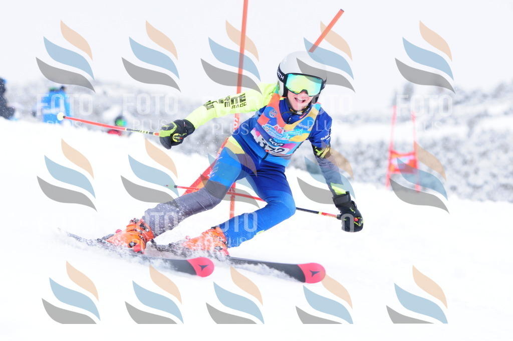 C3967 | holidayphoto