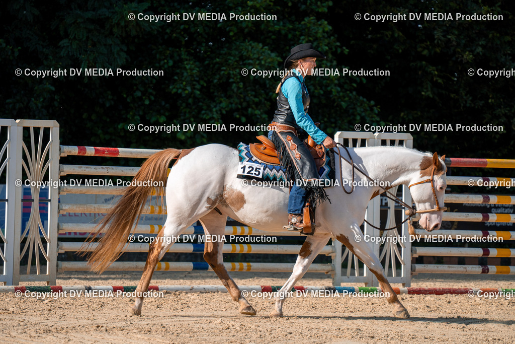 ZH100818 | dv-media-shop - Realisiert mit Pictrs.com