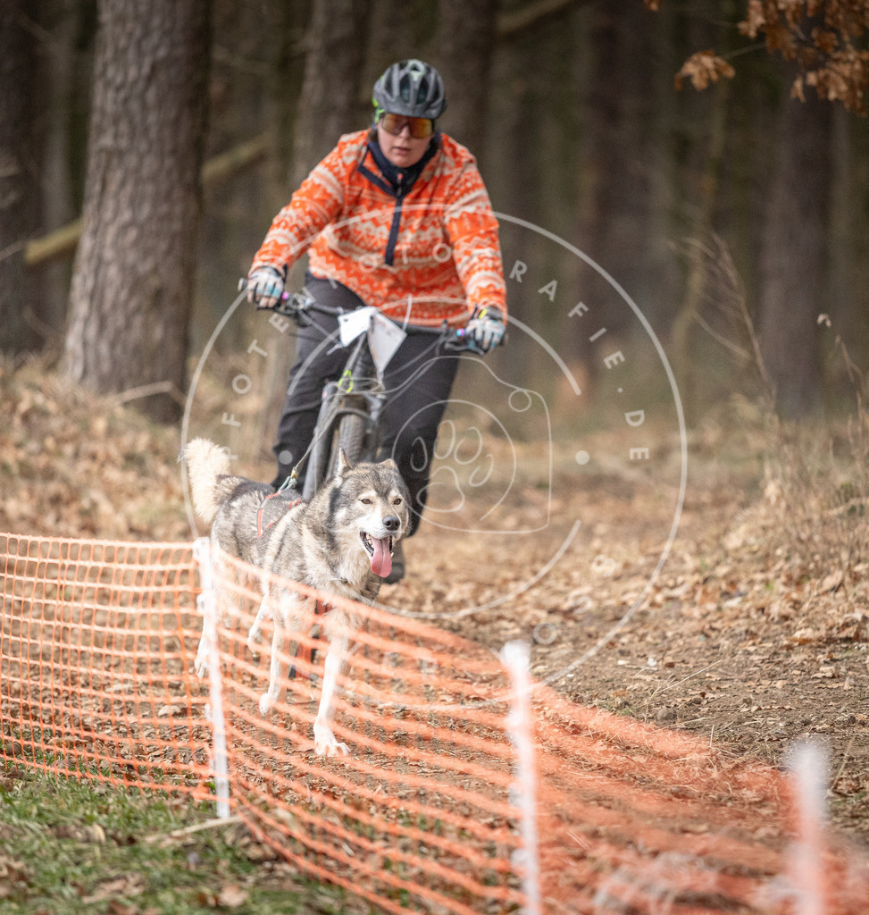 Pfotenfotografie_DV3A1668 | Hundefotografie, Tierfotograf, Pfotenfotografie, Fotoshooting Hund, Hunde Portrait, Hundesport, Hundeportraits, Heideshooting, Hunde, Sportfotograf, Hundefotograf, Turnierhundsport, THS,  - Realisiert mit Pictrs.com