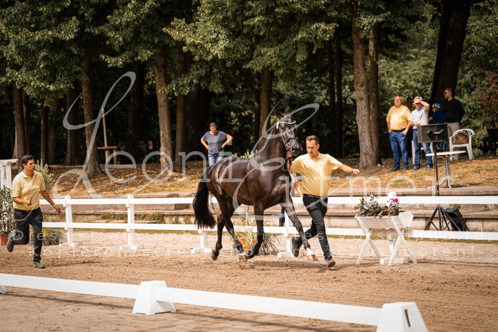 4.Fr00128 | Leoni Ertmer Photography - Realisiert mit Pictrs.com