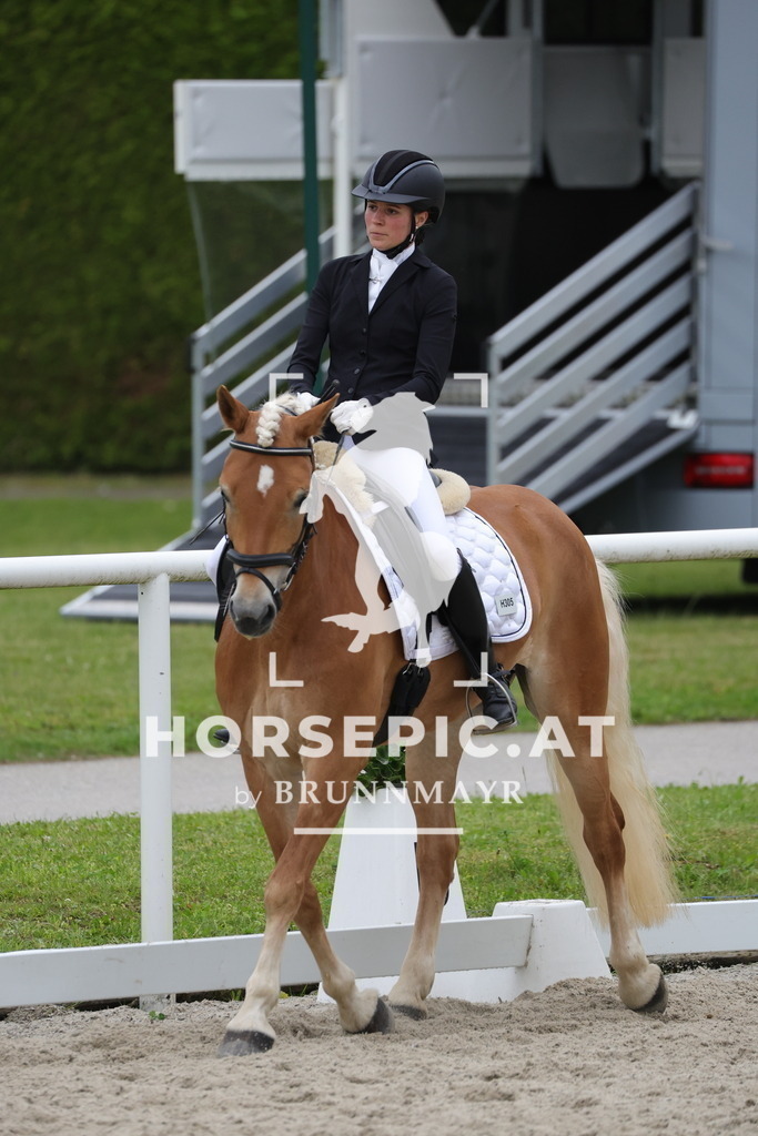0P6A7093 | Willkommen bei Brunnmayr - Design & Fotografie – Ihrem Spezialisten für Reitturniere und Pferdeveranstaltungen in Oberösterreich, Salzburg und Bayern! Seit über 17 Jahren sind wir leidenschaftlich dabei.