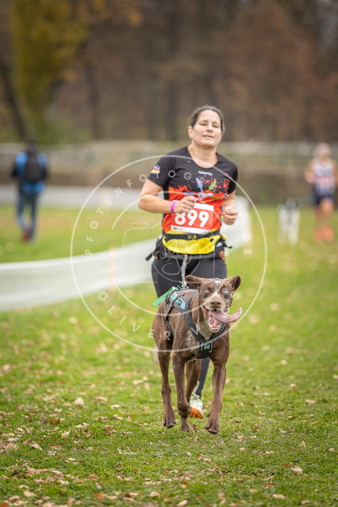 CaniXpix_DV3A6916 | Hundefotografie, Tierfotograf, Pfotenfotografie, Fotoshooting Hund, Hunde Portrait, Hundesport, Hundeportraits, Heideshooting, Hunde, Sportfotograf, Hundefotograf, Turnierhundsport, THS,  - Realisiert mit Pictrs.com