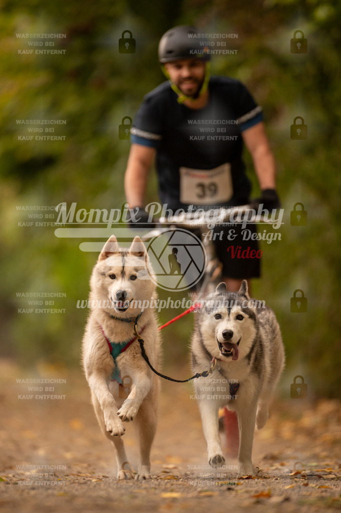 CDLBDB_14_10_2023_Samedi-56 | PayLife