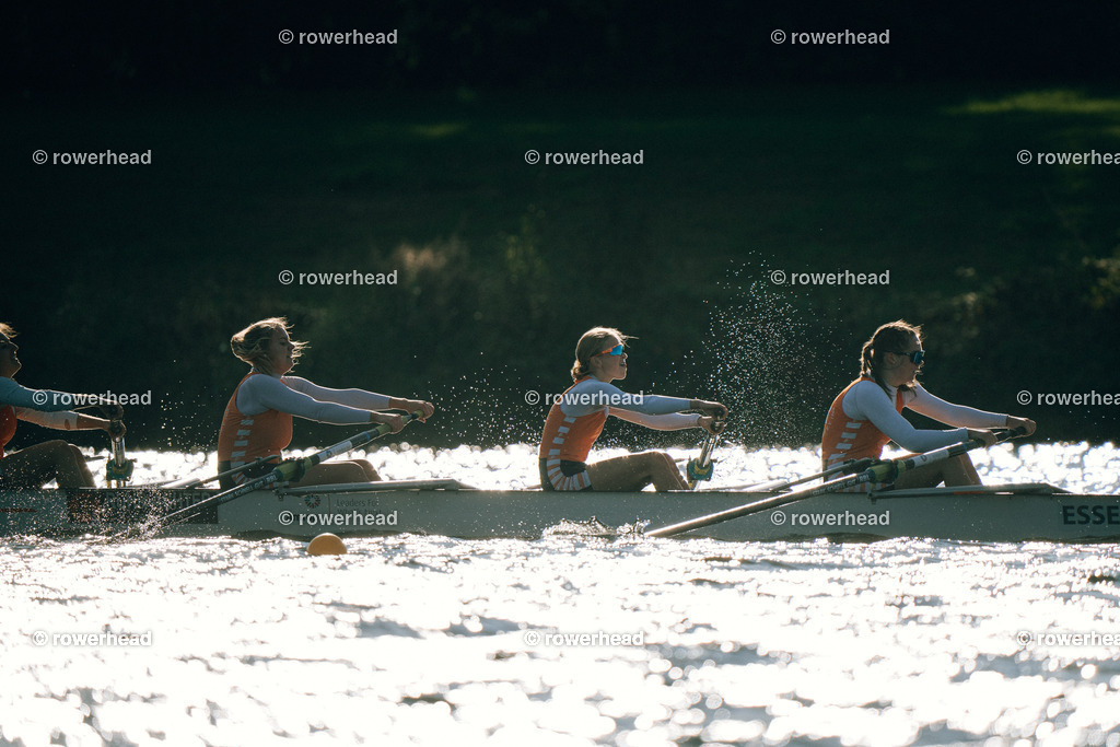 20241006_rowerhead_R038_S0071_DSC09371 | rowerhead - Realisiert mit Pictrs.com