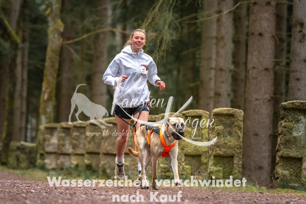 0807DZ6_2933 | kk-dogfotos