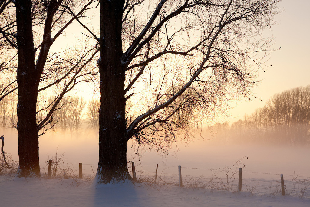 101220-130 | Europa, DEU, Deutschland, Nordrhein Westfalen, NRW, Rheinland, Niederrhein, Xanten, Naturschutzgebiet Xantener Altrhein, Bislicher Insel, Baeume, Pappeln, Pappelbaeume, Sonnenuntergang, Schnee, Winter, Nebel, Bodennebel, Kategorien und Themen, Natur, Umwelt, Landschaft, Jahreszeiten, Stimmungen, Landschaftsfotografie, Landschaften, Landschaftsphoto, Landschaftsphotographie, Natur, Naturfoto, Naturfotos, Naturfotografie, Naturphoto, Naturphotographie, Landschaft, Landschaften, Landschaftsfoto, Landschaftsfotografie, Landschaftsphoto, Landschaftsphotographie....[Fuer die Nutzung gelten die jeweils gueltigen Allgemeinen Liefer-und Geschaeftsbedingungen. Nutzung nur gegen Verwendungsmeldung und Nachweis. Download der AGB unter http://www.image-box.com oder werden auf Anfrage zugesendet. Freigabe ist vorher erforderlich. Jede Nutzung des Fotos ist honorarpflichtig gemaess derzeit gueltiger MFM Liste - Kontakt, Uwe Schmid-Fotografie, Duisburg, Tel. (+49).2065.677997, ..archiv@image-box.com, www.image-box.com] - Realisiert mit Pictrs.com