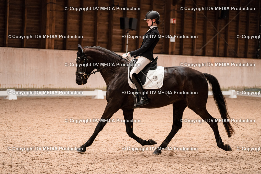 Dressur Tag 2-280 | dv-media-shop - Realisiert mit Pictrs.com