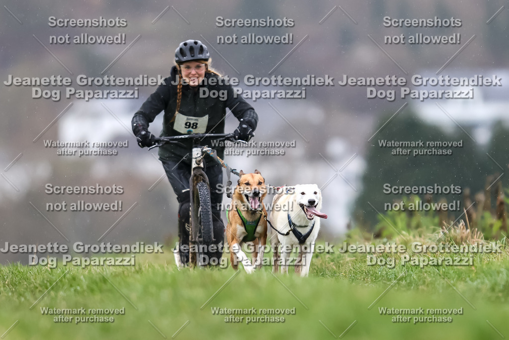 Dog Paparazzi - Herkules Race  2025-44 | Dog Paparazzi Jeanette Grottendiek Fotografie & Videografie - Realisiert mit Pictrs.com