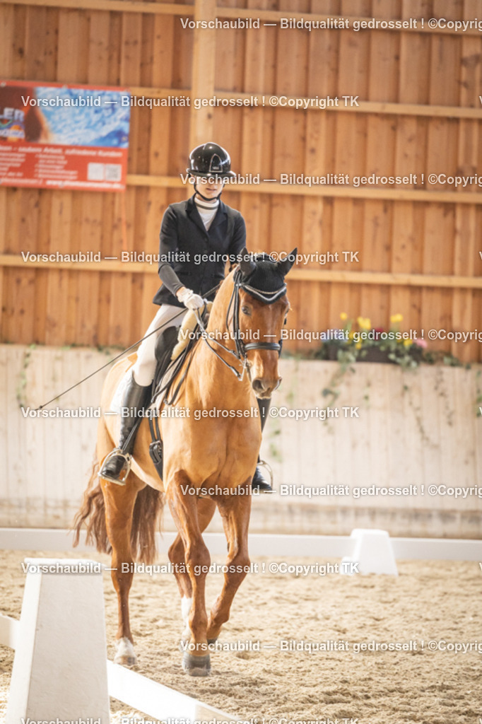 _D5A9579 | Emotionale Pferde- & People-Fotografie rund um Heidelberg, Leimen & Umgebung. Natürliche Fotos von Pferd, Mensch & Familie. Jetzt Termin sichern!