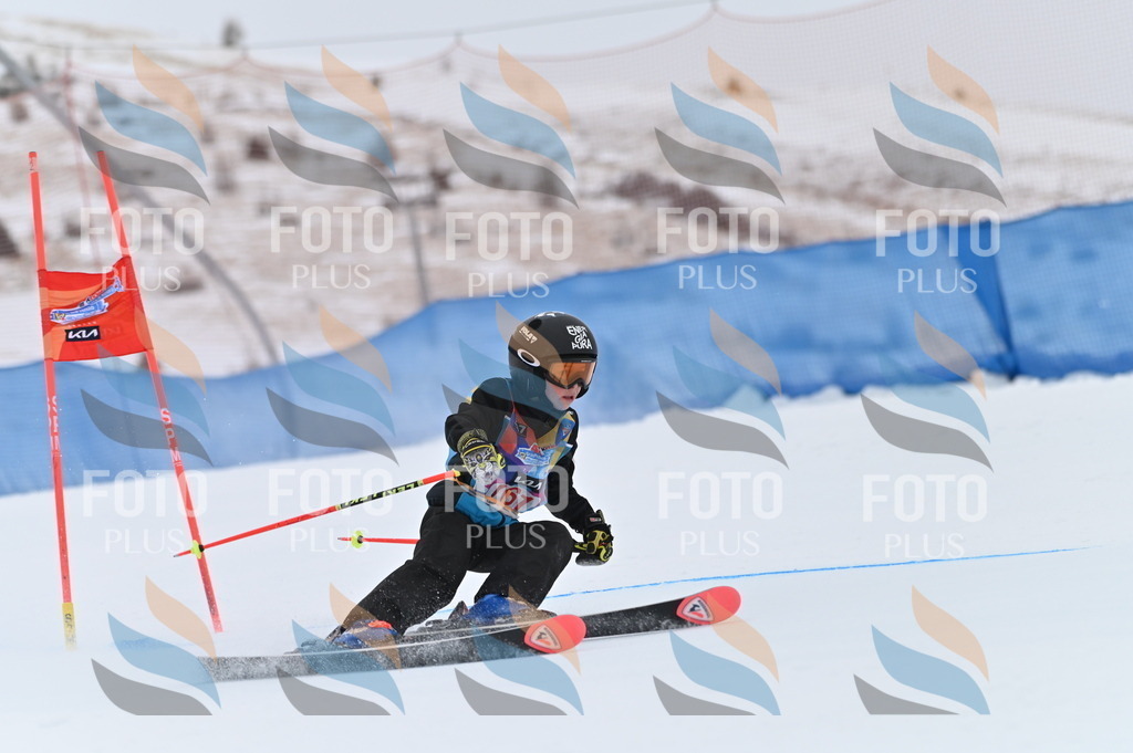 BGV_0169 | holidayphoto