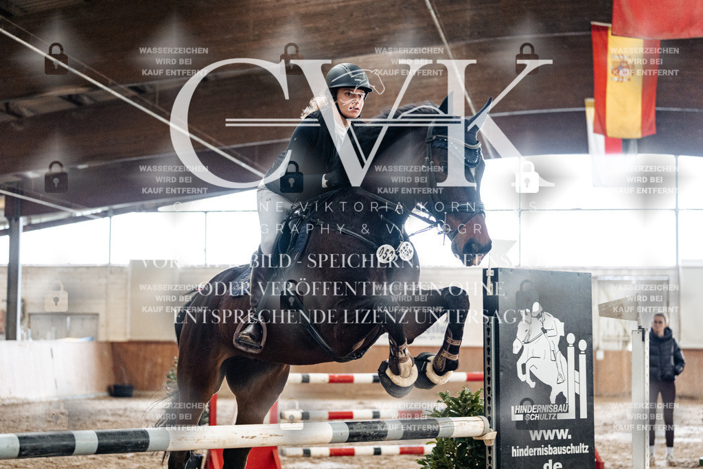 CK906229 | Turnierfotografie Pferdefotografie Trier Rheinland-Pfalz Pferdesport Reitsport Tierfotografie Sportfotografie Pferdevideo Pferdevideografie Equestrianvideography equestrianphotography  - Realized with Pictrs.com