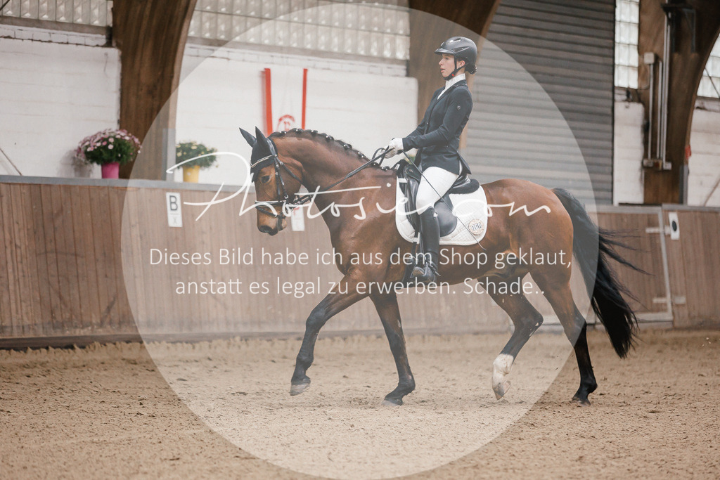3I6A6554 | Stimmungsvolle Portraits und Reitsportfotografie im Ruhrgebiet und im Münsterland.

Pferdefotografie, Hundefotografie, Tierfotografie, Reportagen, Portraits von Tier und Mensch, Turnierfotografie in Bochum, Recklinghausen, Marl, Haltern am See, Dülmen.. - Realisiert mit Pictrs.com