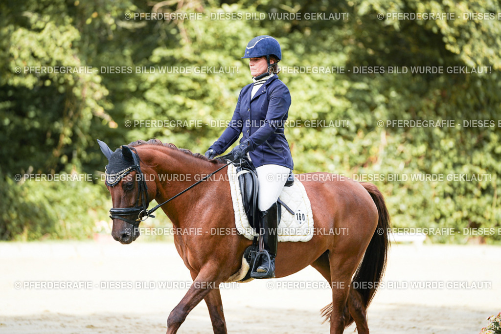 DSC02176 | Pferdegrafie