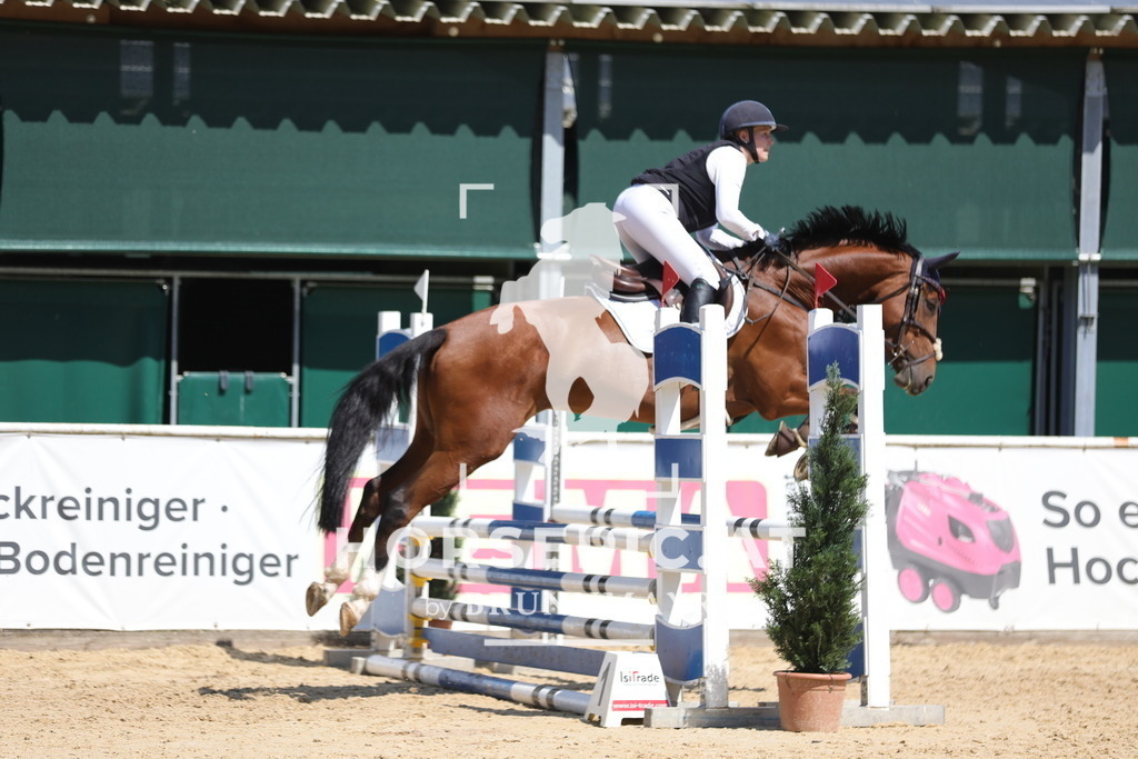 0P6A6728 | Willkommen bei Brunnmayr - Design & Fotografie – Ihrem Spezialisten für Reitturniere und Pferdeveranstaltungen in Oberösterreich, Salzburg und Bayern! Seit über 17 Jahren sind wir leidenschaftlich dabei.