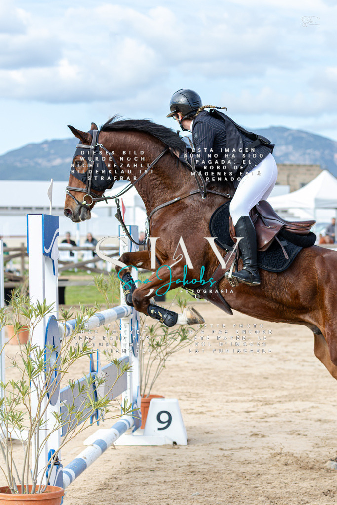 IMG_3007 | s-jay-photography - Realisiert mit Pictrs.com