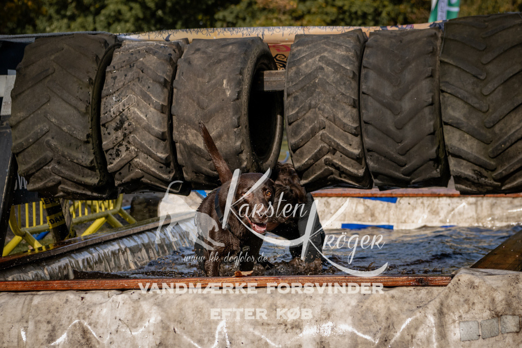 1359_ZZ93561 | kk-dogfotos