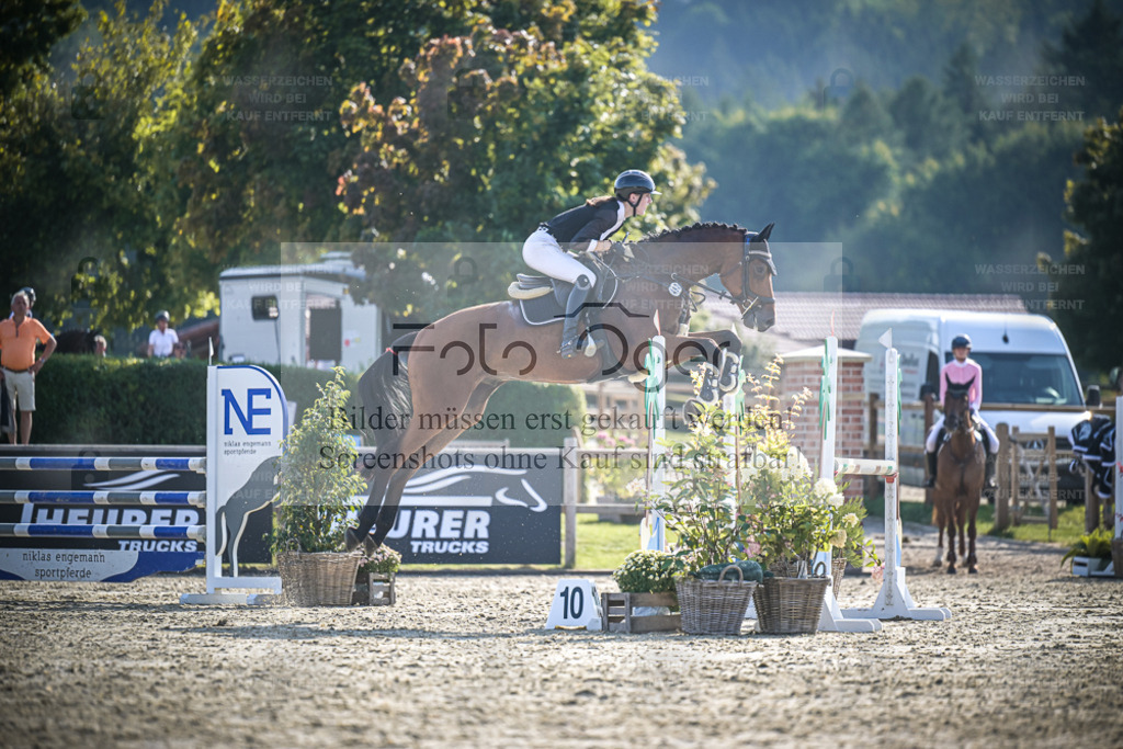 DOS_0759 | Entdecke hochwertige Reitturnierfotos von Foto Oger. Professionell, emotional und authentisch – jetzt Lieblingsmomente im Shop bestellen. - Realisiert mit Pictrs.com