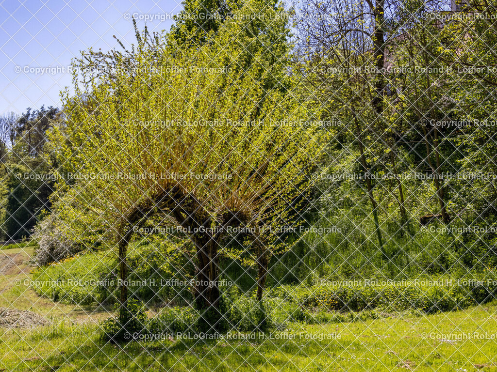 Im-Donautal-23 | IPTC Infos - Realisiert mit Pictrs.com