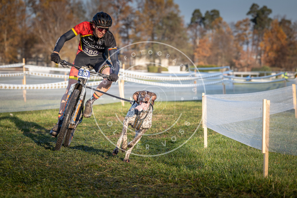 CaniXpix_0L8A3728 | Hundefotografie, Tierfotograf, Pfotenfotografie, Fotoshooting Hund, Hunde Portrait, Hundesport, Hundeportraits, Heideshooting, Hunde, Sportfotograf, Hundefotograf, Turnierhundsport, THS,  - Realisiert mit Pictrs.com