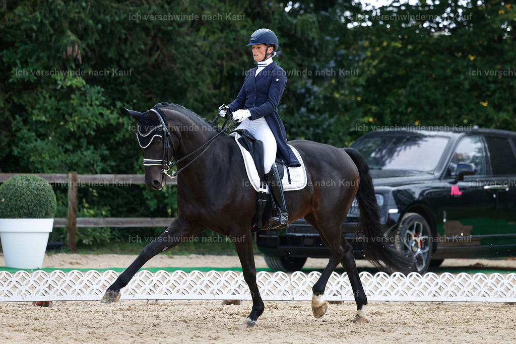 10-115-ST.GEORG SPECIAL -StoibPH-3187 | working equitationturnier fotograf videograf stoibphotography marixx film working equitation deutschland reitsport turnierfotografie eventfotografie equestrian events