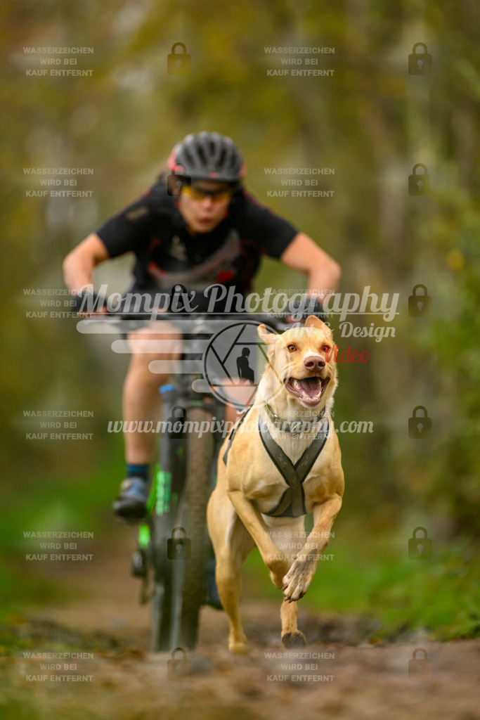 MompixPhotography_20TSB_E6_Bike-94 | PayLife