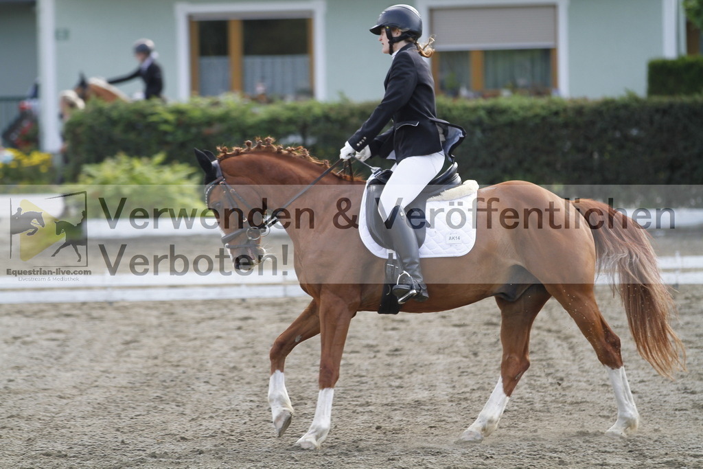 _MG_0763 | equestrian-live-com