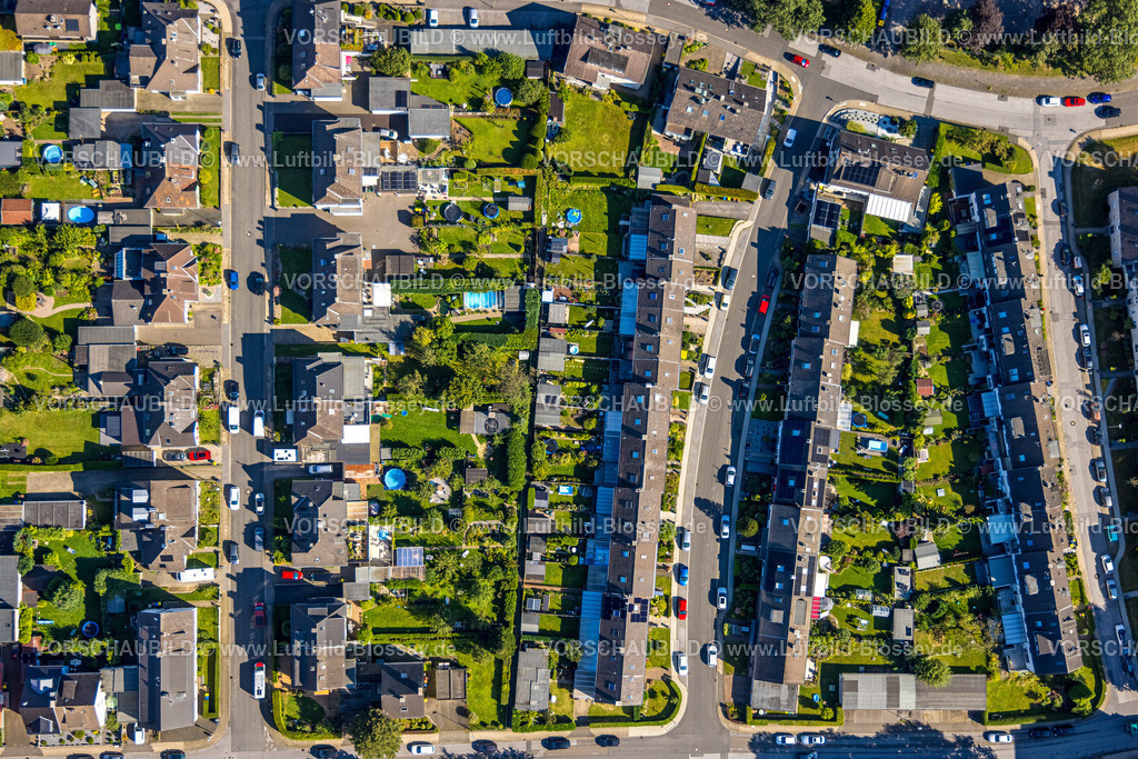 Velbert240812708 | Luftbild, Wohnsiedlung und Gärten mit Swimmingpool zwischen Rotdornstraße und Eschenstraße, Senkrechtaufnahme, Velbert, Ruhrgebiet, Nordrhein-Westfalen, Deutschland
