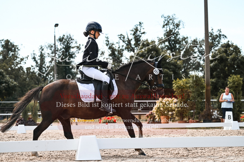 DSC_5730 | Pferde- und Turnierfotografie in Westsachsen. Pferdeportraits, Auftragszeichnungen und intuitive Kunst.