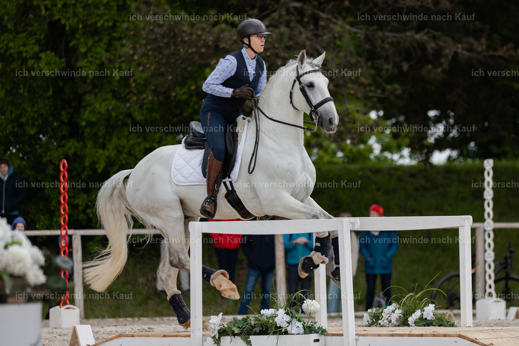 PI26_SP_StoibphotographyC2_C2347.jpg | working equitationturnier fotograf videograf stoibphotography marixx film working equitation deutschland reitsport turnierfotografie eventfotografie equestrian events