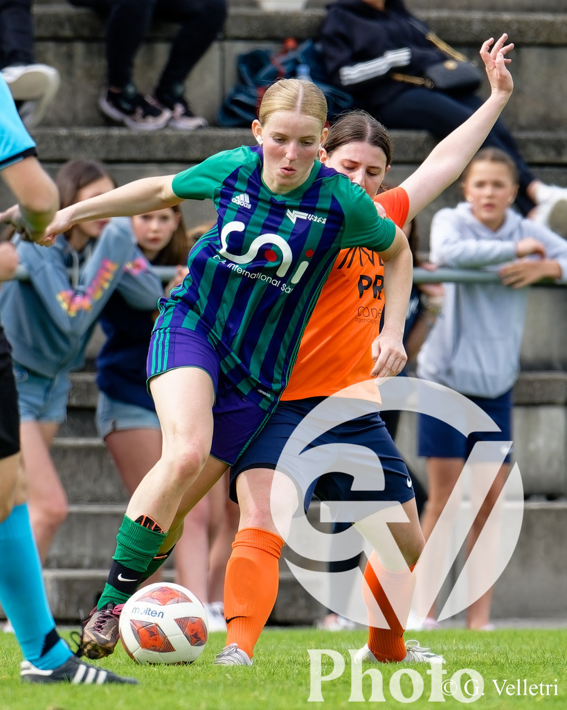 DSC_5682 | Velletri Photo