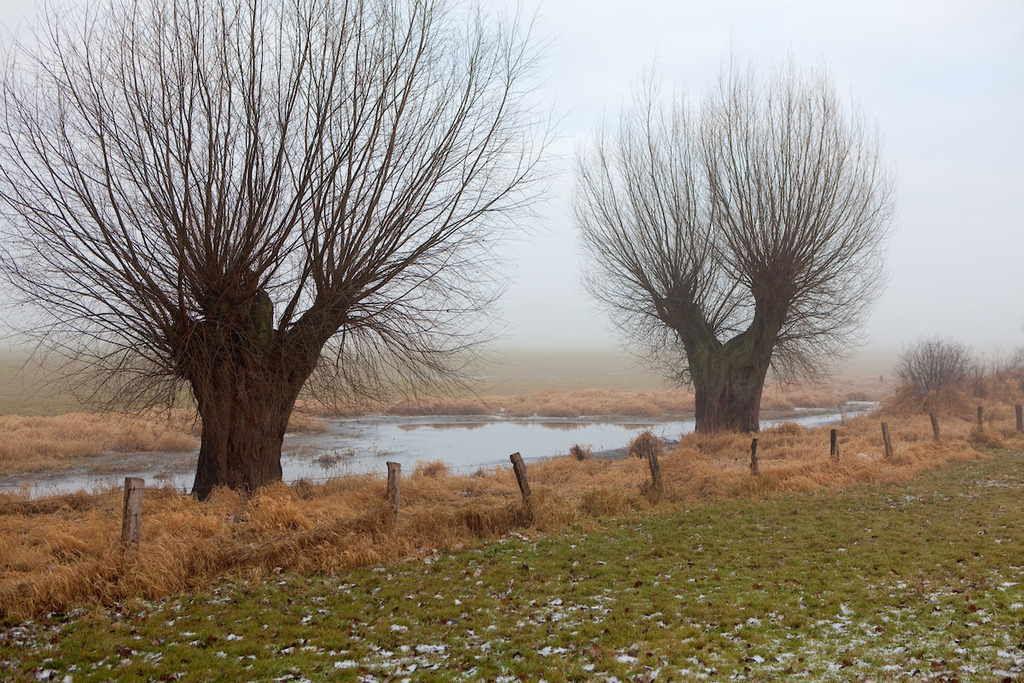 170108-054 | Europa, DEU, Deutschland, NRW, Nordrhein Westfalen, Niederrhein, Rheinland, Xanten, Naturschutzgebiet Xantener Altrhein, Bislicher Insel, Typische Landschaft, Winter, Dunst, Nebel, Frost, Typische Kopfweiden, Kategorien und Themen, Natur, Umwelt, Landschaft, Jahreszeiten, Stimmungen, Landschaftsfotografie, Landschaften, Landschaftsphoto, Landschaftsphotographie, Wetter, Wetterelemente, Wetterlage, Wetterkunde, Witterung, Witterungsbedingungen, Wettererscheinungen, Meteorologie, Wettervorhersage

[Fuer die Nutzung gelten die jeweils gueltigen Allgemeinen Liefer-und Geschaeftsbedingungen. Nutzung nur gegen Verwendungsmeldung und Nachweis. Download der AGB unter http://www.image-box.com oder werden auf Anfrage zugesendet. Freigabe ist vorher erforderlich. Jede Nutzung des Fotos ist honorarpflichtig gemaess derzeit gueltiger MFM Liste - Kontakt, Uwe Schmid-Fotografie, Duisburg, Tel. (+49).2065.677997, ..archiv@image-box.com, www.image-box.com] - Realisiert mit Pictrs.com