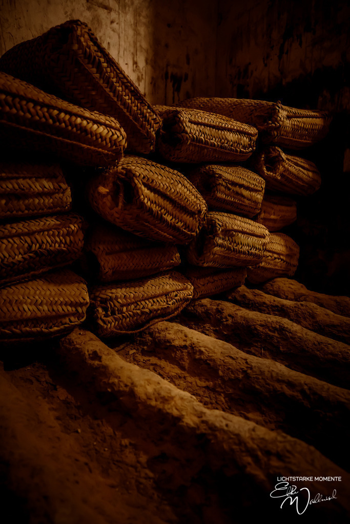 Festung Jabreen, Oman | Herzlich willkommen auf meiner Seite! Ich bin Elke Wallnisch, Deine Fotografin für lichtstarke Momente. Der Name steht für alles, was mich mit der Fotografie verbindet: Das Licht und seine machtvolle Wirkung auf eine Situation oder unsere Stimmung - Realisiert mit Pictrs.com