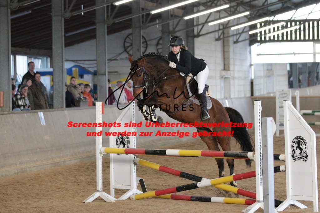 IMG_3250 | lmwpictures - Realisiert mit Pictrs.com