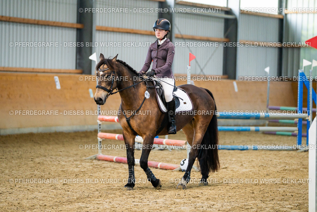 DSC00564 | Pferdegrafie