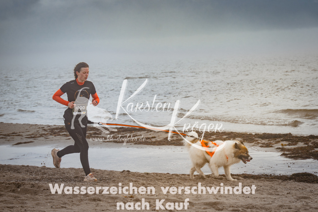 1124_ZZ98178 | kk-dogfotos