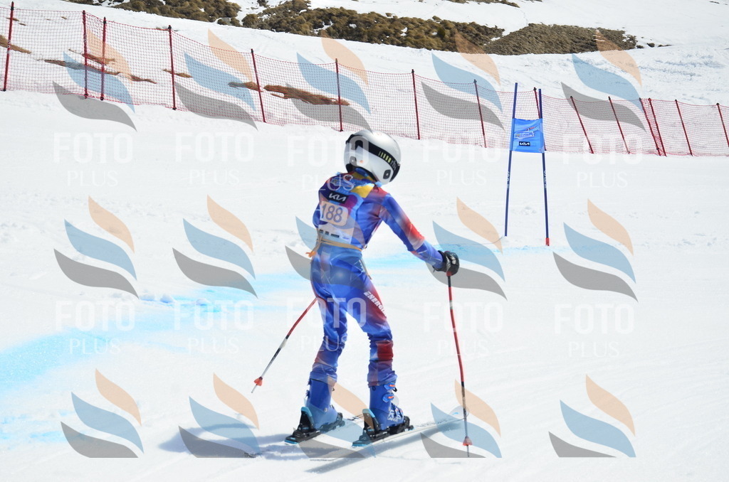 _ELE1289 | holidayphoto